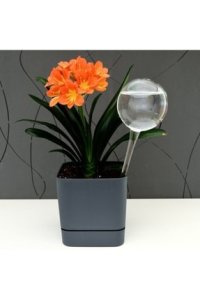 Vetroce Güneş Shop - Saksı Suluğu - Standart - 2'lı Set - Çiçek Sulama Aparatı