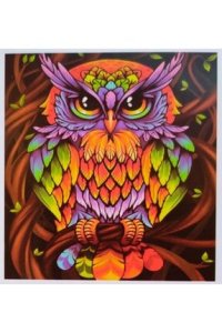 HaserEticaret 5d Boncuklu Taşlı Mozaik Elmas Goblen Pano Tablo Resim Puzzle 30x30 Baykuş Desen